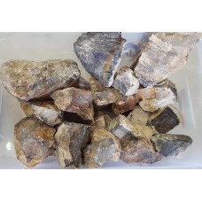 Piatra Lemn Fosilizat